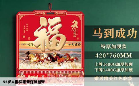 55岁人群买哪些保险最好