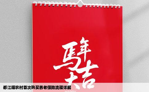 都江堰农村首次购买养老保险流程详解