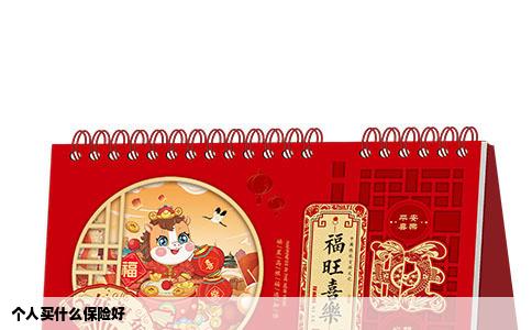 个人买什么保险好