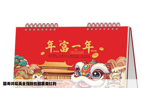 国寿鸿福两全保险在那里查红利