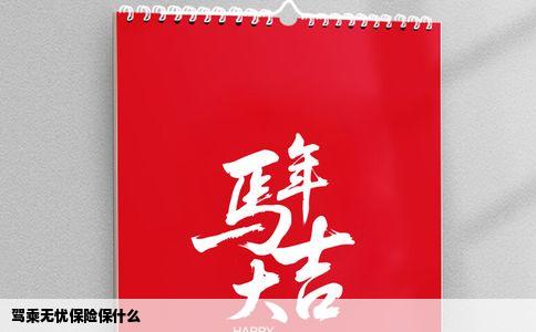 驾乘无忧保险保什么