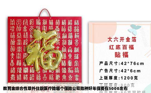 教育金综合性意外住院医疗险哪个保险公司险种好年保费在5000左右