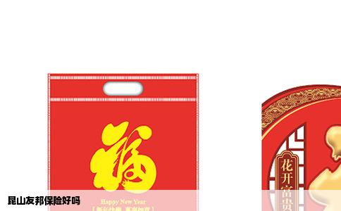 昆山友邦保险好吗