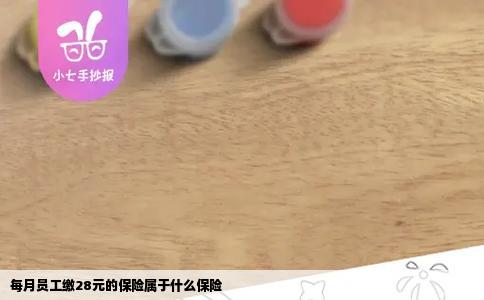 每月员工缴28元的保险属于什么保险