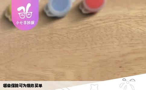 哪些保险可为爆炸买单