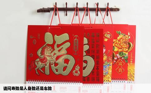 请问寿险是人身险还是车险