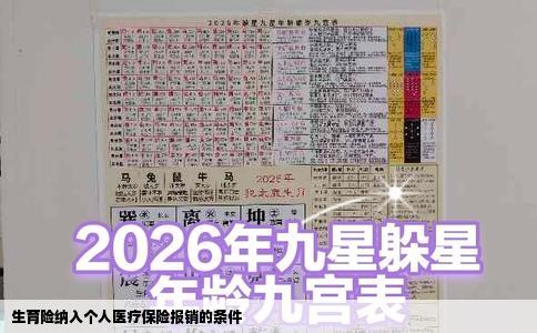 生育险纳入个人医疗保险报销的条件