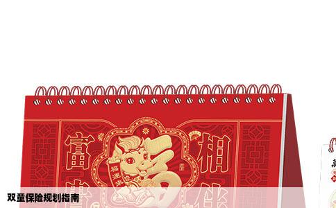 双童保险规划指南