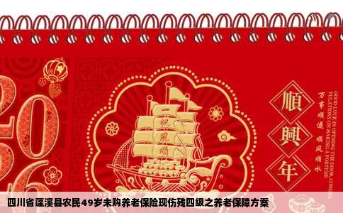 四川省蓬溪县农民49岁未购养老保险现伤残四级之养老保障方案
