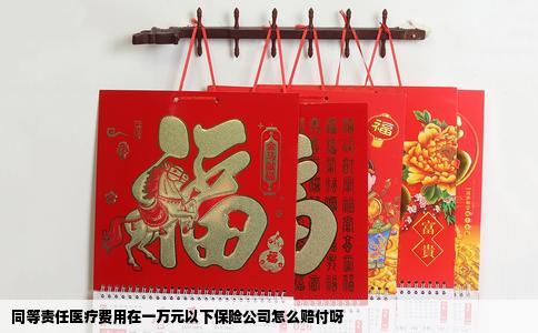 同等责任医疗费用在一万元以下保险公司怎么赔付呀