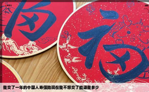 我交了一年的中国人寿保险现在我不想交了能退我多少