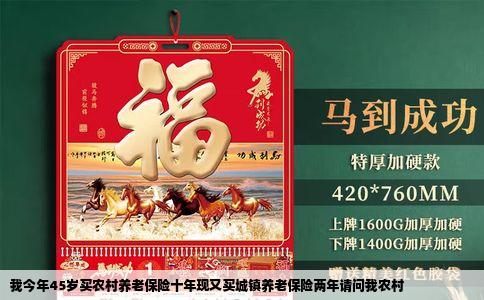 我今年45岁买农村养老保险十年现又买城镇养老保险两年请问我农村