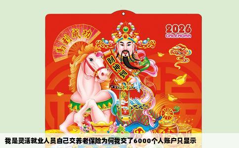 我是灵活就业人员自己交养老保险为何我交了6000个人账户只显示