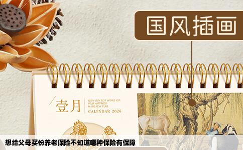 想给父母买份养老保险不知道哪种保险有保障