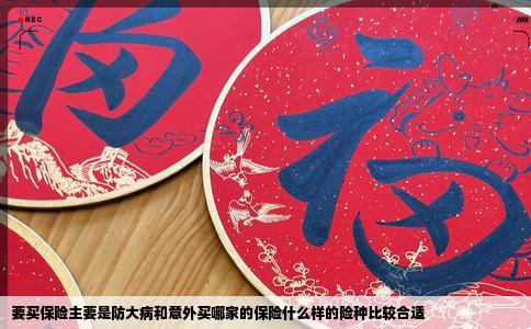 要买保险主要是防大病和意外买哪家的保险什么样的险种比较合适