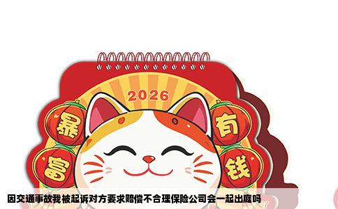 因交通事故我被起诉对方要求赔偿不合理保险公司会一起出庭吗