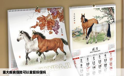 重大疾病保险可以重复投保吗