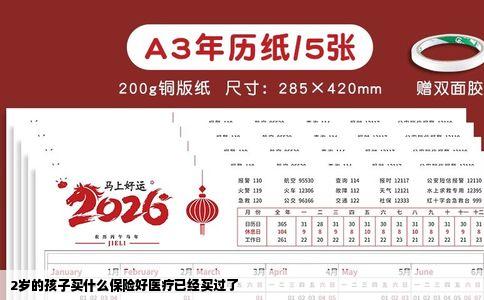 2岁的孩子买什么保险好医疗已经买过了