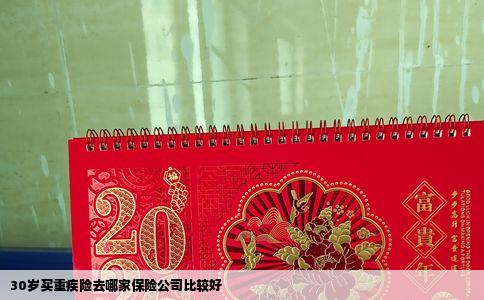 30岁买重疾险去哪家保险公司比较好