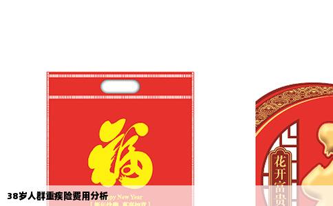 38岁人群重疾险费用分析