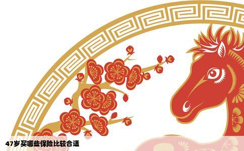 47岁买哪些保险比较合适