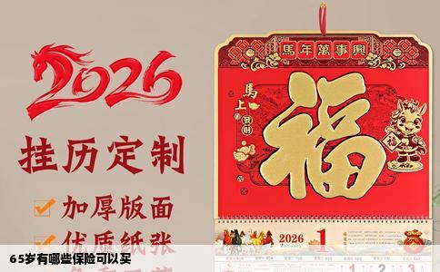 65岁有哪些保险可以买