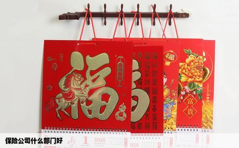 保险公司什么部门好