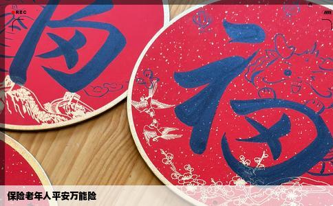 保险老年人平安万能险