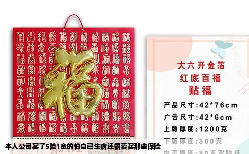 本人公司买了5险1金的怕自已生病还需要买那些保险