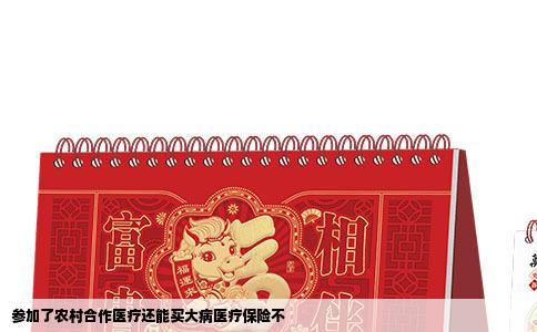 参加了农村合作医疗还能买大病医疗保险不