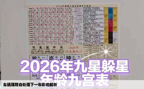 车祸理赔自处理下一年影响解析