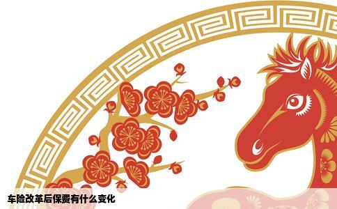 车险改革后保费有什么变化