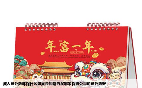 成人意外险都保什么如果是短期的买哪家保险公司的意外险好