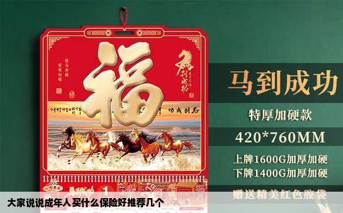 大家说说成年人买什么保险好推荐几个