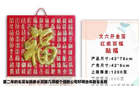 第二年的车买车险都必买哪几项哪个保险公司好呢去年新车全险