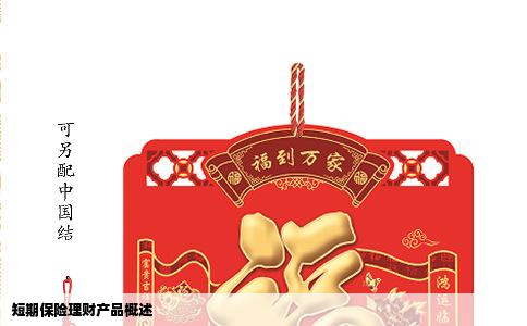 短期保险理财产品概述