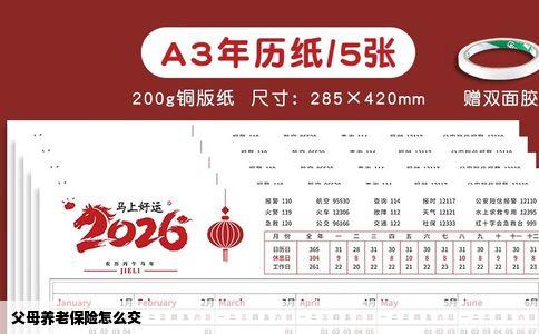 父母养老保险怎么交