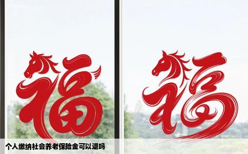 个人缴纳社会养老保险金可以退吗