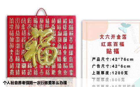 个人社会养老保险一次行缴费怎么办理