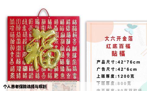 个人养老保险选择与规划