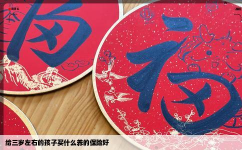 给三岁左右的孩子买什么养的保险好