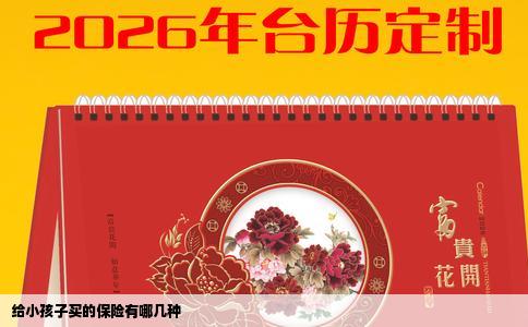 给小孩子买的保险有哪几种