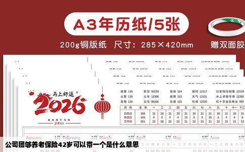 公司团够养老保险42岁可以带一个是什么意思