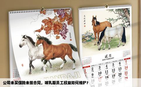 公司未买保险未签合同，哺乳期员工权益如何维护？