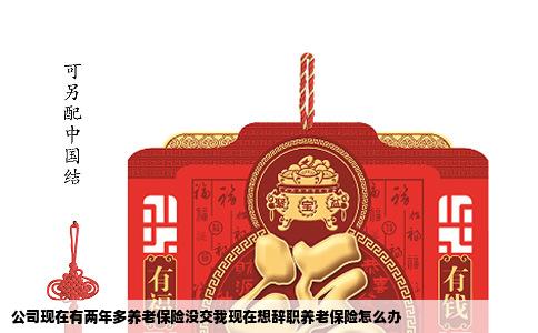 公司现在有两年多养老保险没交我现在想辞职养老保险怎么办