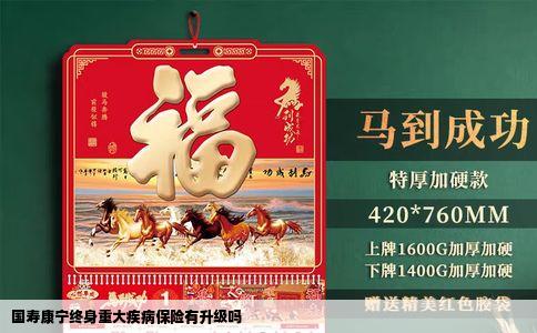 国寿康宁终身重大疾病保险有升级吗