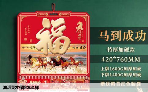 鸿运英才保险怎么样