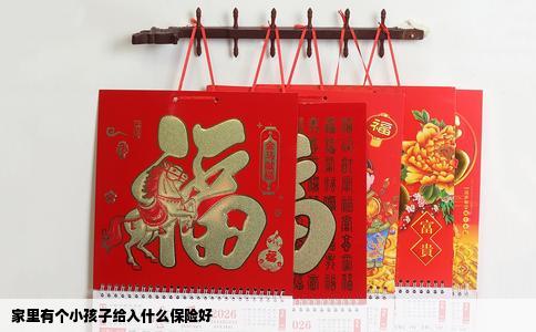 家里有个小孩子给入什么保险好