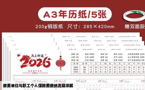 缴费单位与职工个人保险费缴纳流程详解