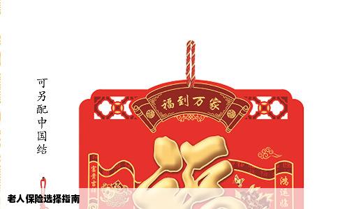 老人保险选择指南